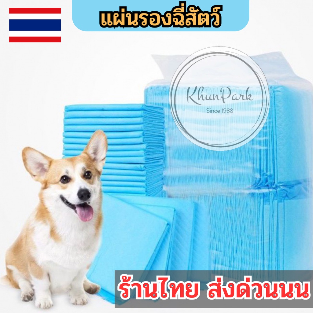 แผ่นรองฉี่สัตว์เลี้ยง Cocoyo สำหรับแมวและสุนัข ช่วยฝึกขับถ่าย ซึมซับไดีดี พร้อมส่ง kp99