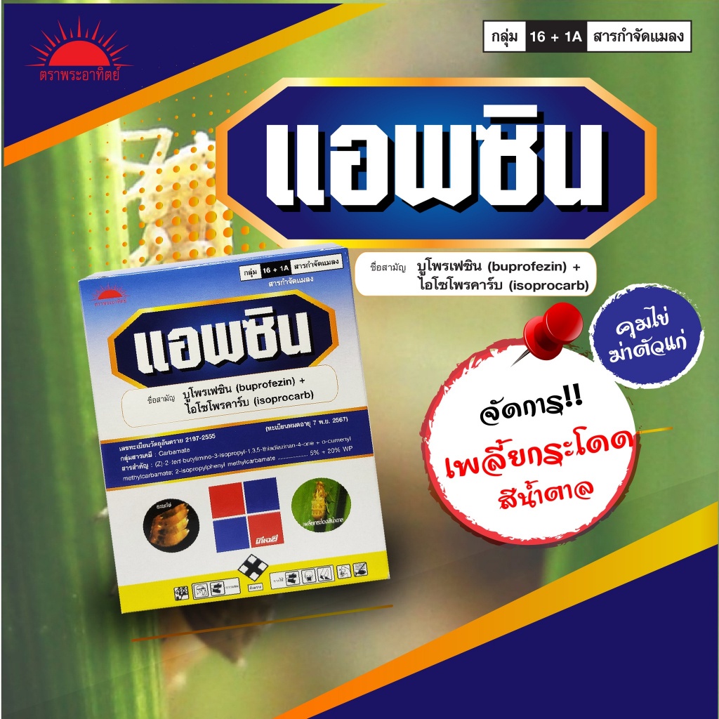 แอพซิน ตราพระอาทิตย์ กำจัดและป้องกัน คุมไข่ เพลี้ยกระโดด และเพลี้ยต่างๆ ตายเรียบ ขนาด 1 กิโลกรัม