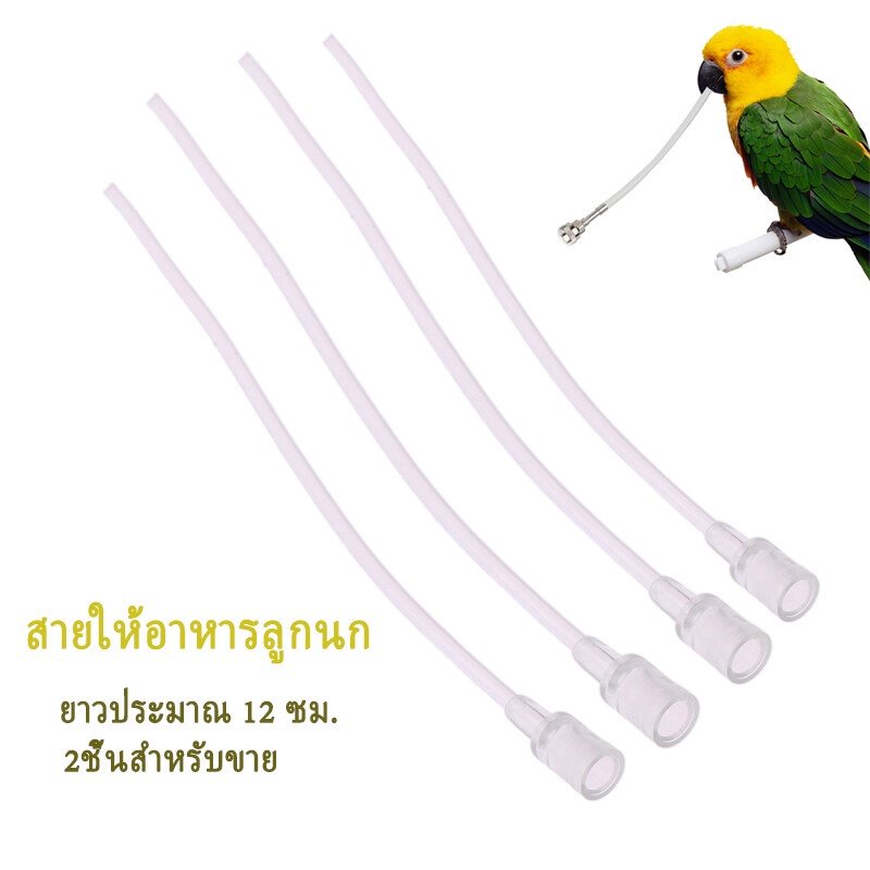 【2ชิ้น 29บาท】 สายป้อน สายป้อนลูกนก สายป้อนอาหารนก ให้อาหารลูกนก ปลายมน ต่อไซริงค์ ยาว12cm