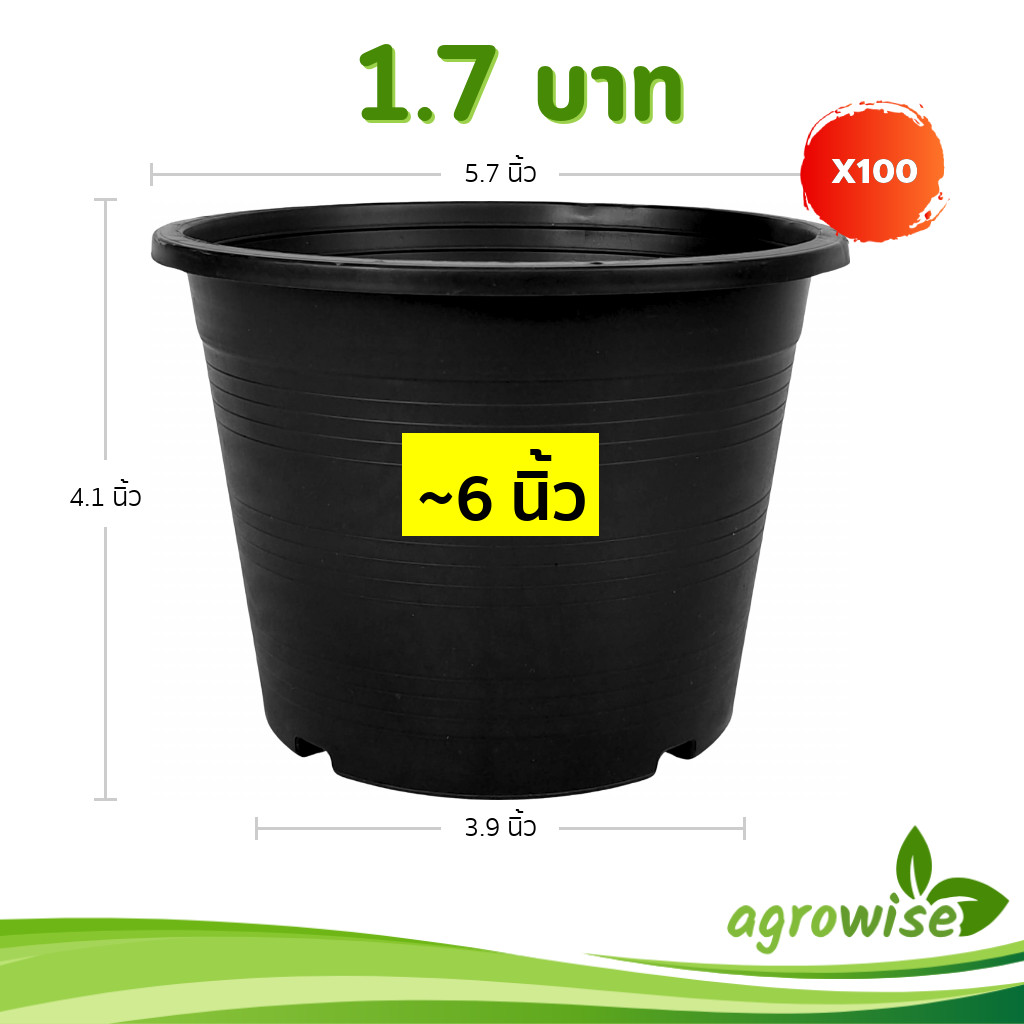 กระถาง กระถางต้นไม้ กระถางพลาสติก เบอร์ 6 5.7 นิ้ว สีดำ 100 ใบ ยกมัด ยกกระสอบ
