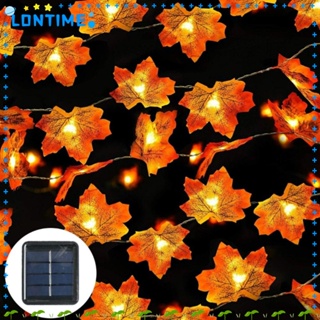 Lontime สายไฟ LED 40 ดวง รูปใบเมเปิ้ล สีขาวอบอุ่น เสียบ USB 16.4 ฟุต สําหรับตกแต่งวันหยุด