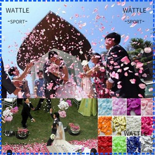 Wattle กลีบดอกกุหลาบผ้าไหม DIY สําหรับตกแต่งโต๊ะ 200 500 1000 ชิ้น