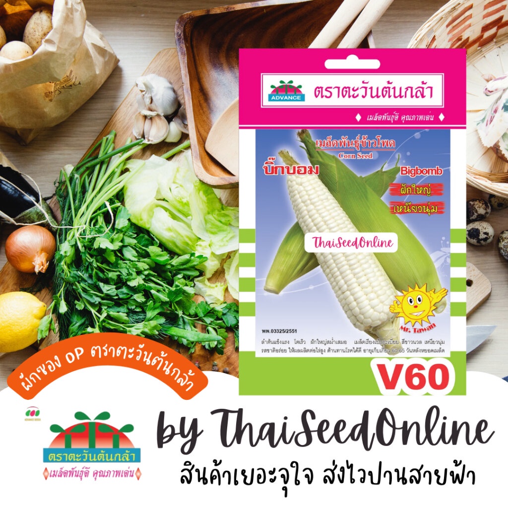 Advance Seeds(ตราตะวันต้นกล้า) ADVOP ซฟ เมล็ดพันธุ์ ข้าวโพดข้าวเหนียว บิ๊กบอม ตราตะวันต้นกล้า V60