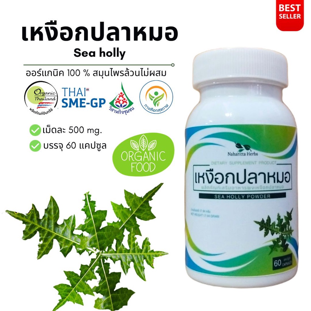เหงือกปลาหมอ Sea holly 100% 60cap.  คุณภาพดี