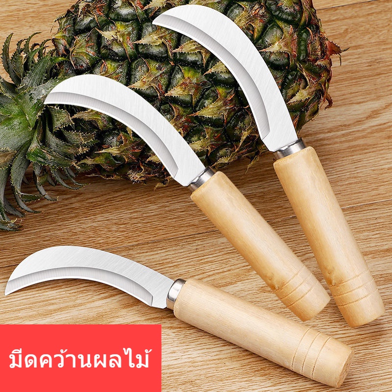 มีดหั่นผักและปอกสับปะรด มีดคว้านผลไม้ คว้านขนุน มีดเจาะตาสัปปะรด มีดปอกสัปปะรด ด้ามจับไม้