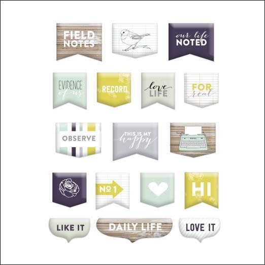 Evalious Field Notes Puffy Stickers V1