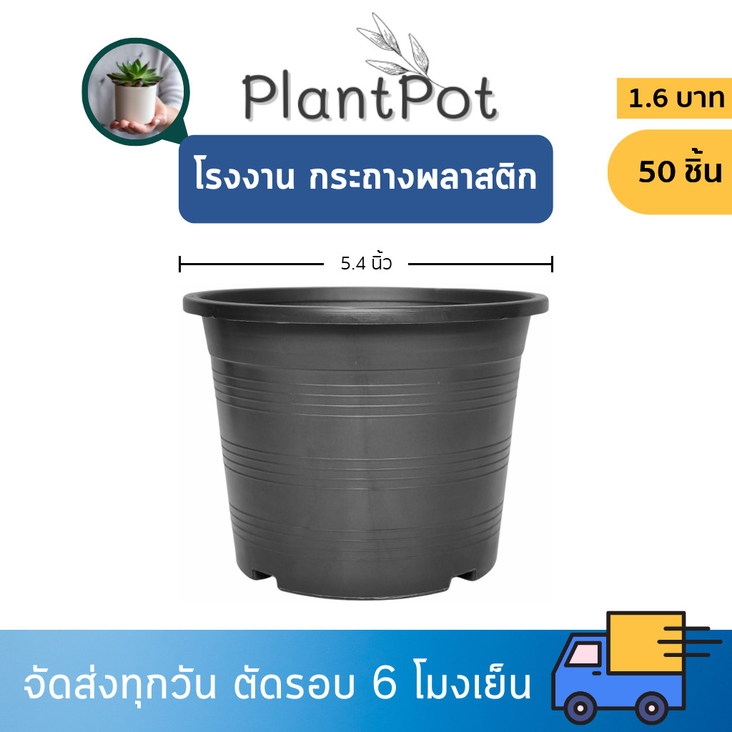กระถาง กระถางต้นไม้ กระถางพลาสติก เบอร์ 5 6 5 5.4 5.5 นิ้ว สีดำ 50 ใบ ยกมัด ยกกระสอบ