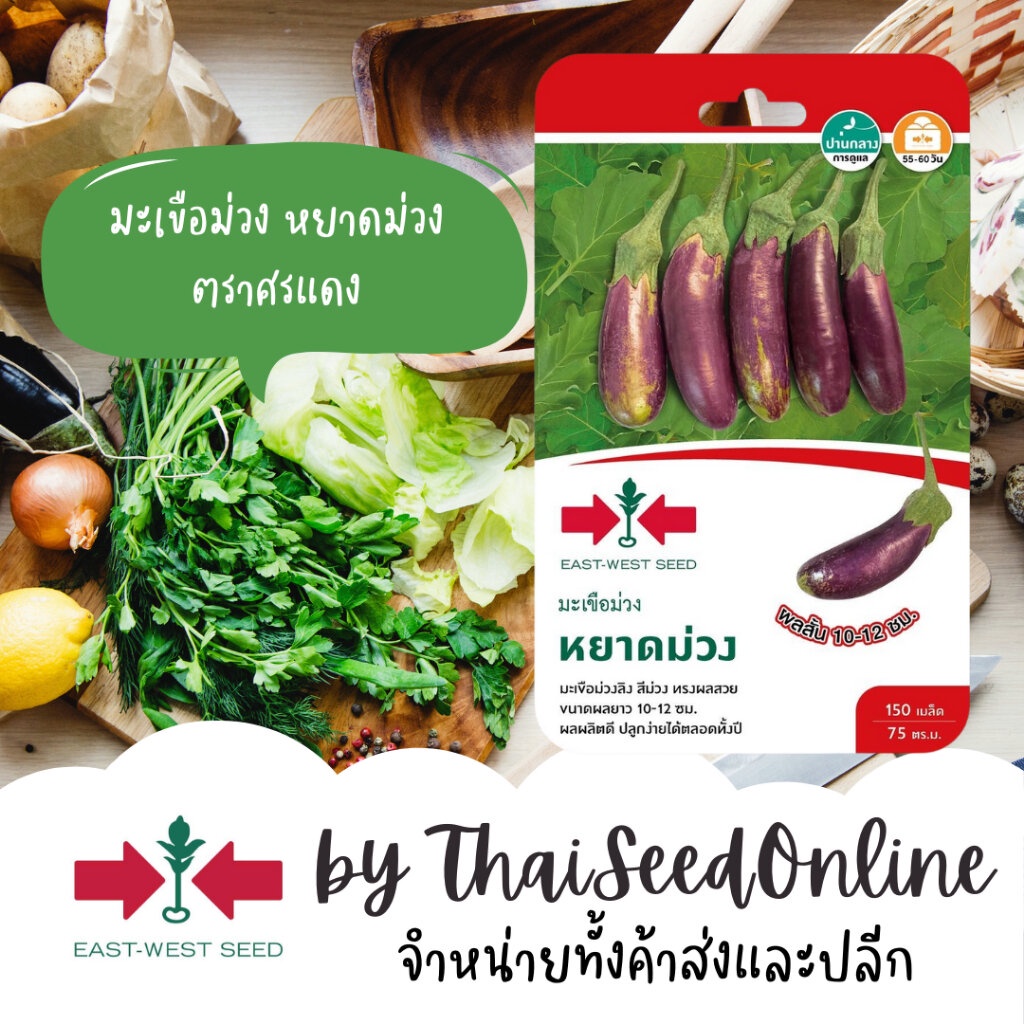 ตราศรแดง GGEW เมล็ดพันธุ์ มะเขือม่วงลิง หยาดม่วง 150เมล็ด ตราศรแดง Short Purple Eggplant