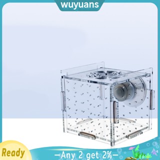 Wuyuans กล่องเพาะพันธุ์ แบบตารางเดียว อุปกรณ์เสริม สําหรับตู้ฟักไข่ บ้านเรือนเพาะพันธุ์สัตว์น้ํา