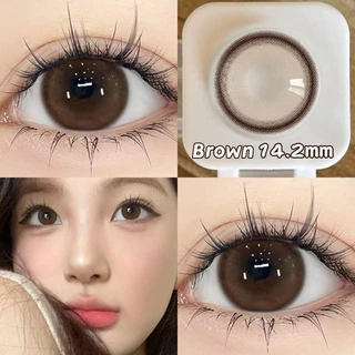 Midroo เลนส์แฟชั่น คอนแทคเลนส์สีกรองแสงคอนเทค Black/Brown Bean ค่าสายตาปกติ Contact Lens 14.2mm
