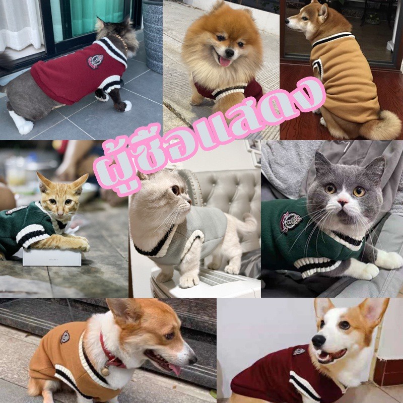 💥พร้อมส่ง🐾เสื้อสัตว์เลี้ยง ใส่สบาย ระบายอากาศดี น่ารัก ให้อบอุ่น เหมาะสําหรับแมวและสุนัข เสื้อหมา XS-4XL - รูปที่ 7