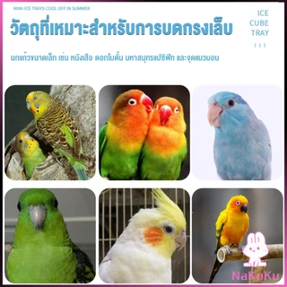 NKK ก้านไม้ของเล่นสําหรับนกแก้ว คอนลับเล็บ จัดส่งแบบสุ่มหลายสี ราคาต่อ 1 ชิ้น Wooden Bird Perch