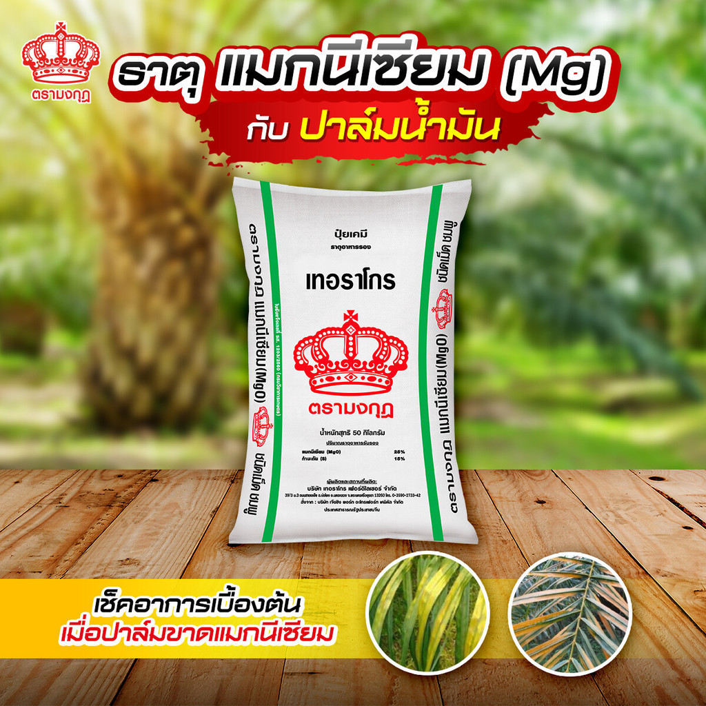 ปุ๋ย แมกนีเซียมซัลเฟต ชนิดเม็ด Granular Magnesium Sulphate(Kieserite) ปุ๋ยกีเซอร์ไรท์ (แบ่งขาย) - รูปที่ 3