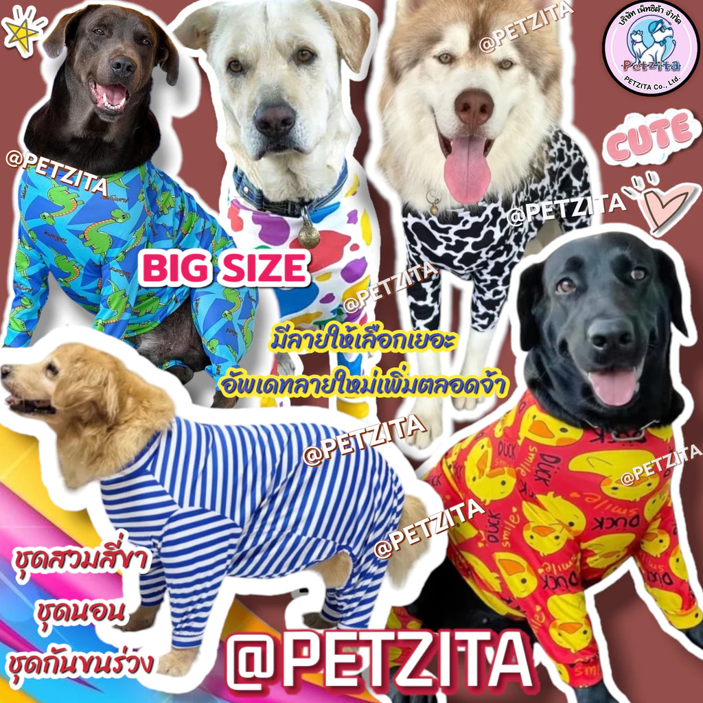 🇹🇭พร้อมส่ง🇹🇭(ลิ้งค์1)🐶🐕 BIG SIZE ชุดสี่ขา ชุดกันขนร่วง สุนัขพันธุ์ใหญ่ หมาใหญ่ เสื้อหมา โกลเด้น ลาบาดอร์ ไซบีเรียน เส...