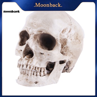 &lt;moonback&gt; โมเดลหัวกะโหลก อเนกประสงค์ แกะออกได้ สําหรับเรียนฮาโลวีน