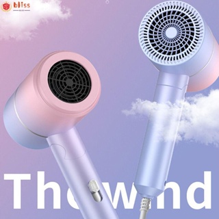 Blliss เครื่องเป่าผมไฟฟ้า 1200W แบบพับได้ สําหรับร้านทําผม