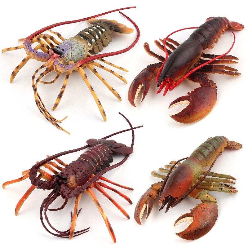 [สินค้าใหม่ขายดี] กุ้งมังกรบอสตันออสเตรเลียจำลองแท้, ชีวิตทางทะเล, ของเล่นโมเดลสัตว์ใต้ทะเล, ตุ๊กตาสัตว์ 4 ตัว, ของเล่นเพื่อการศึกษาในช่วงต้น