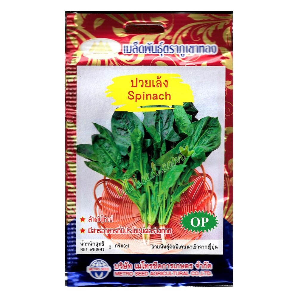 เมล็ดปวยเล้ง Spinach MT/OP-057 ตราภูเขาทอง ผักป๊อปอาย ใช้ทำผักโขมอบชีสได้ เมล็ดผักสวนครัว ผัก