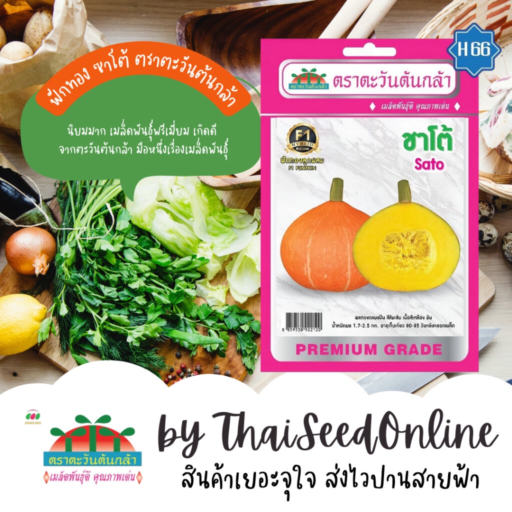 Advance Seeds(ตราตะวันต้นกล้า) ADVF1 เมล็ดพันธุ์ ฟักทองญี่ปุ่น ซาโต้ F1 ตราตะวันต้นกล้า H66