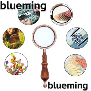 Blueming2 แว่นขยายอ่านหนังสือ เครื่องประดับ ด้ามจับไม้ สไตล์วินเทจ พร้อมกล่องของขวัญ