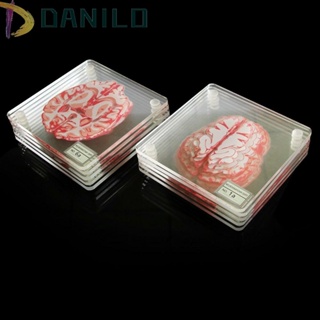 Danilo ที่รองแก้วอะคริลิค รูปนักวิทยาศาสตร์ 3D สําหรับบ้าน บาร์