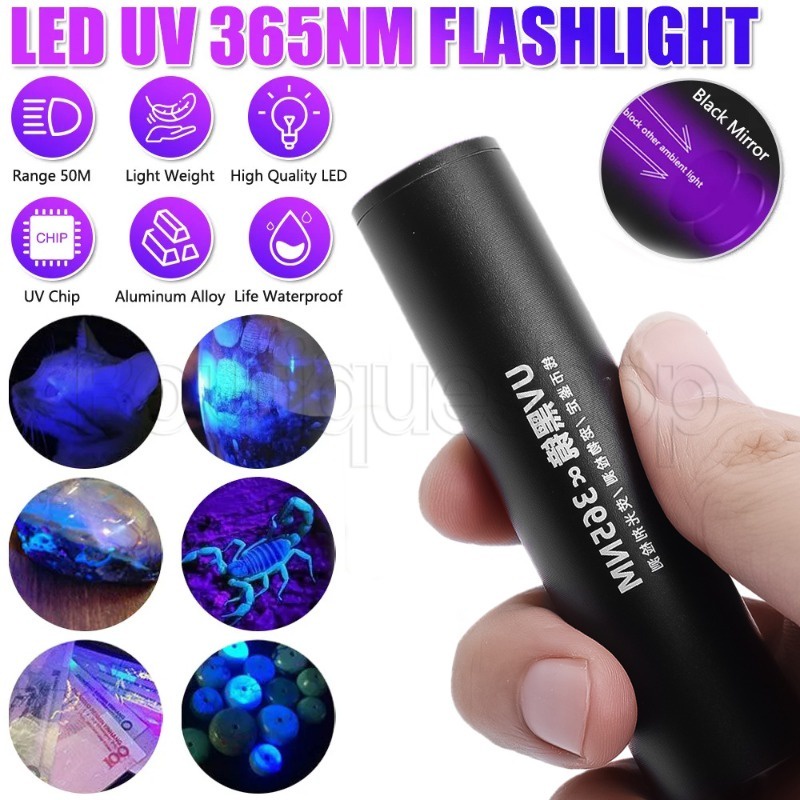 [ Featured ] ไฟฉายอัลตราไวโอเลต 365nm / โคมไฟ LED สีม่วง ขนาดเล็ก / แสงอัลตร้าไวโอเลต แบบชาร์จ USB / โคมไฟตรวจจับปัสสาวะสัตว์เลี้ยง / ไฟฉายพกพา สําหรับพกพา