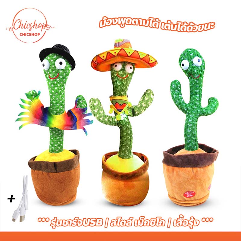 chishop กระบองเพชรอัดเสียงและเต้นได้ มีเพลง cactus can dance กระบองเพชรพูดได้