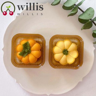 Willis แม่พิมพ์ขนมไหว้พระจันทร์ ฟักทอง พลาสติก หนา 3D 50 กรัม