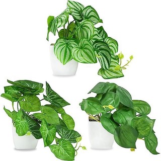 Mini Artificial Plants Small Potted Fake Plants For Home Bedroom Aesthetic Living Room Bathroom Farmhouse Decor Indoor