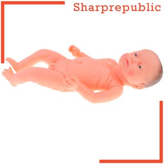 [Sharprepublic] โมเดลหุ่นร่างกายไวนิล เพื่อการศึกษากายวิภาคศาสตร์ สําหรับเด็ก