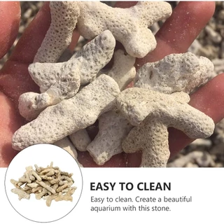 ปะการัง กรองน้ำ เศษปะการัง 500g. แถมถุงซิปอย่างดี สำหรับเป็นวัสดุ กรองน้ำ ใบโอมีเดี่ย Media ตู้ปลาทะเล ตู้ปลาน้ำจืด ปลา