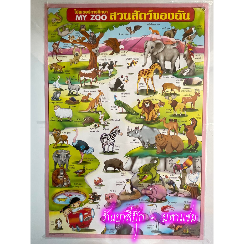 ภาพโปสเตอร์ My Zoo สวนสัตว์ของฉัน - [No.94] - (ขนาด 53x78 cm กระดาษอาร์ตมัน 4 สี แบบหุ้มพลาสติก) แผ่นภาพประกอบการศึกษ...