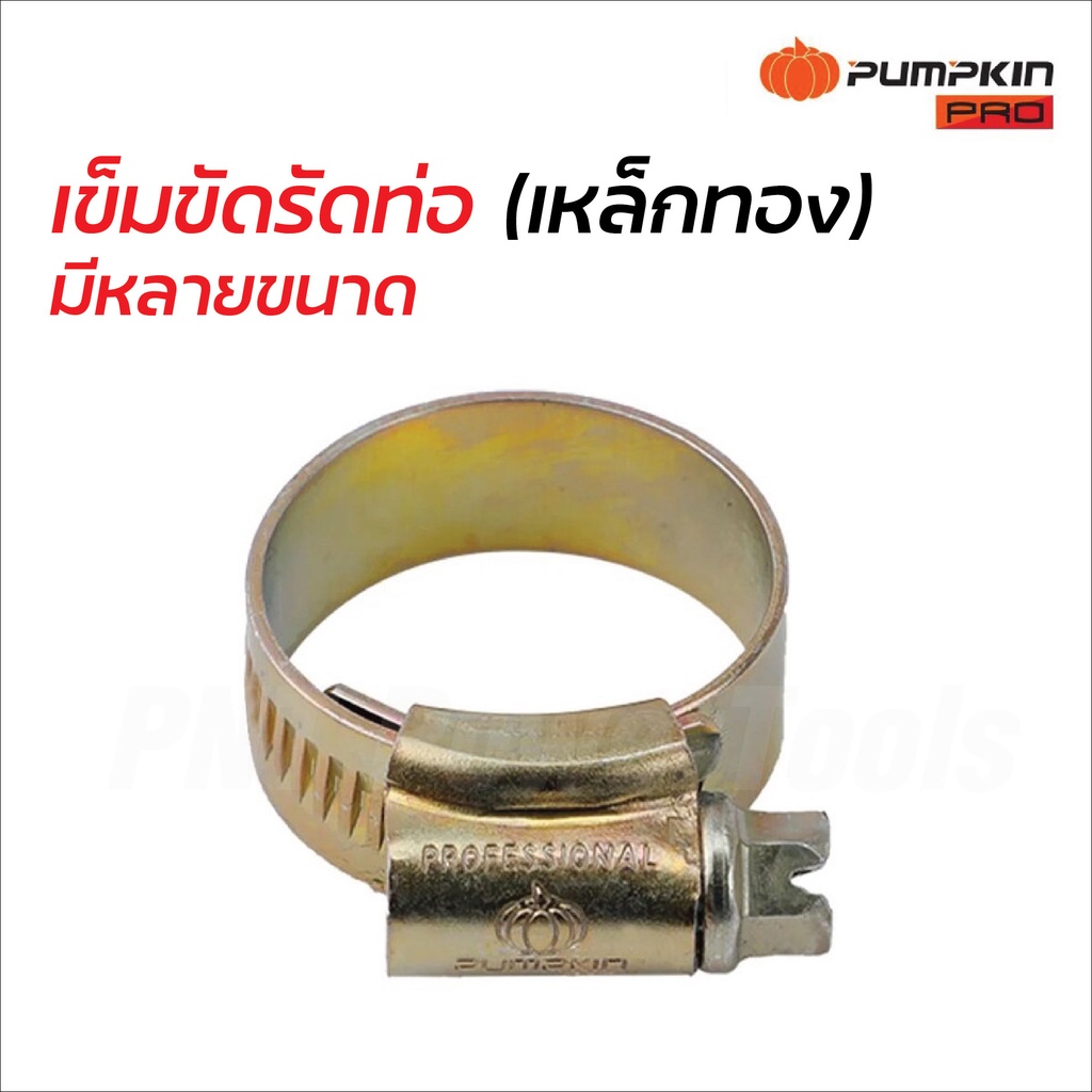 Pumpkin Pro เข็มขัดรัดท่อ (เหล็กทอง) เข็มขัดรัดสายยางแคลมป์รัดท่อ รัดสาย มีให้เลือก 15 ขนาด