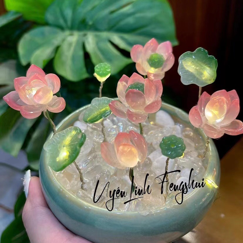 โคมไฟกลางคืน รูปดอกบัว แฮนด์เมด diy สําหรับของขวัญวันเกิดแฟนสาว