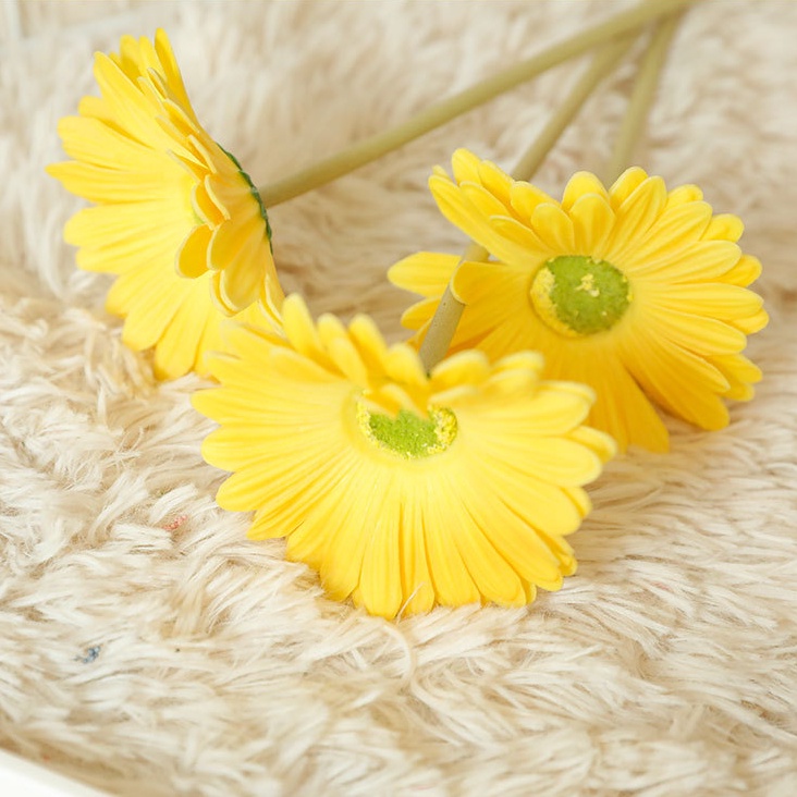 รูปภาพ 7