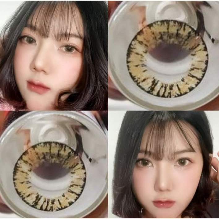 คอนแทคเลนส์ รุ่น Sapphire/Frong/Pearl/Naomi/Dearly สีเทา/ตาล Gray/Brown มีค่าสายตา (0.00)