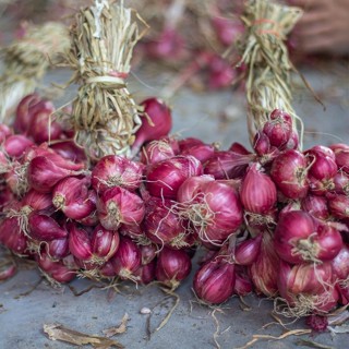 หอมแดงมัดจุก ศรีสะเกษแท้100% ตรงปก หัวสวย เนื้อแน่น คัดพิเศษ…