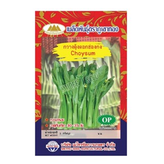 เมล็ดกวางตุ้งดอกฮ่องกง นองปิง choysum MT/OP-042 เมล็ดกวางตุ้…