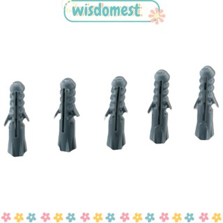 Wisdomest สมอไนล่อน M6X30 พลาสติก PE สีเทา ติดตั้งง่าย สําหรับติดผนัง 100 ชิ้น