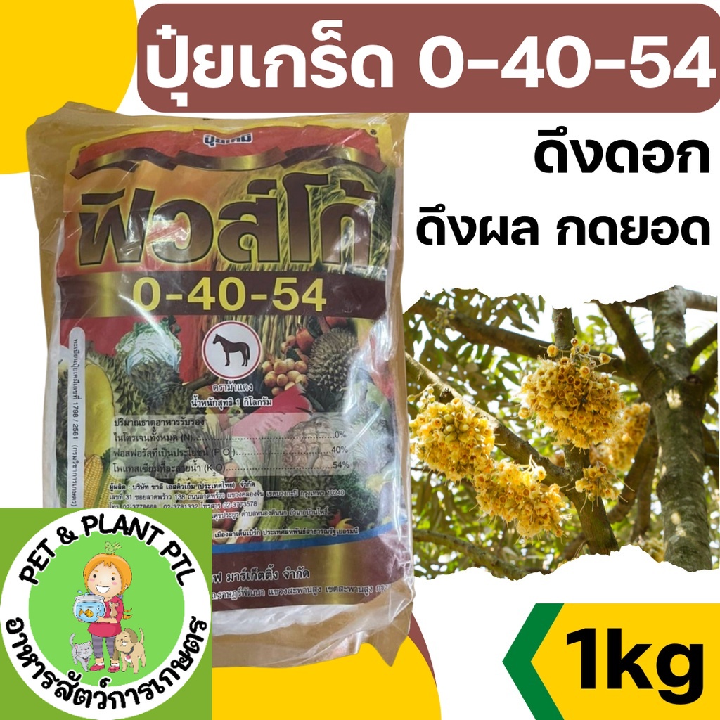 [1kg][ฟิวโก] ปุ๋ยเกล็ด 0-40-54 ปุ๋ยเกร็ด หยุดยอดอ่อน เร่งใบแก่ กระตุ้นการออกดอก