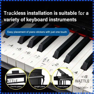 Wattle สติกเกอร์ฉลาก PVC ใส 54 61 88 คีย์ ใช้ซ้ําได้ สําหรับผู้เริ่มต้น