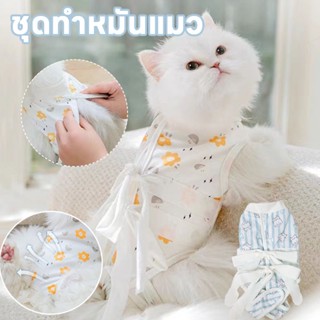 😺พร้อมส่ง😺ชุดทำหมันแมว เสื้อทำหมัน ชุดกันเลียแผล ผ้าตาข่าย เสื้อหลังผ่าตัด