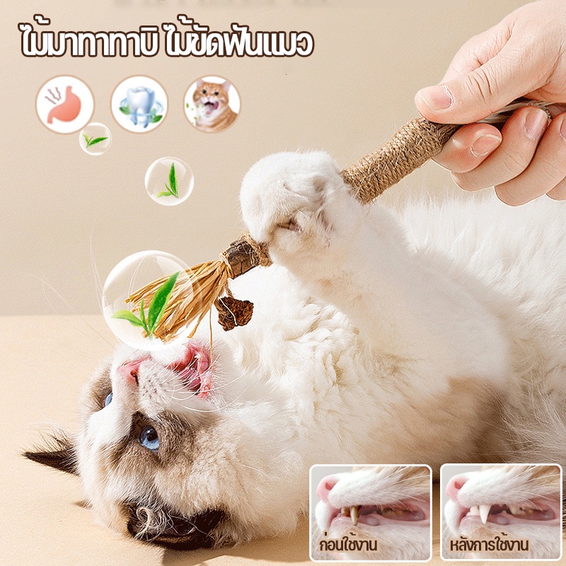 พร้อมส่ง🐱 ไม้ขัดฟันแมว ไม้มาทาทาบิ ไม้แมวเมา ของเล่นแมว กัญชาแมว ขนาดเหมาะกับแมวมากที่สุด