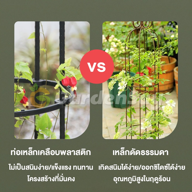 PG.ระแนงไม้เลื้อย ซุ