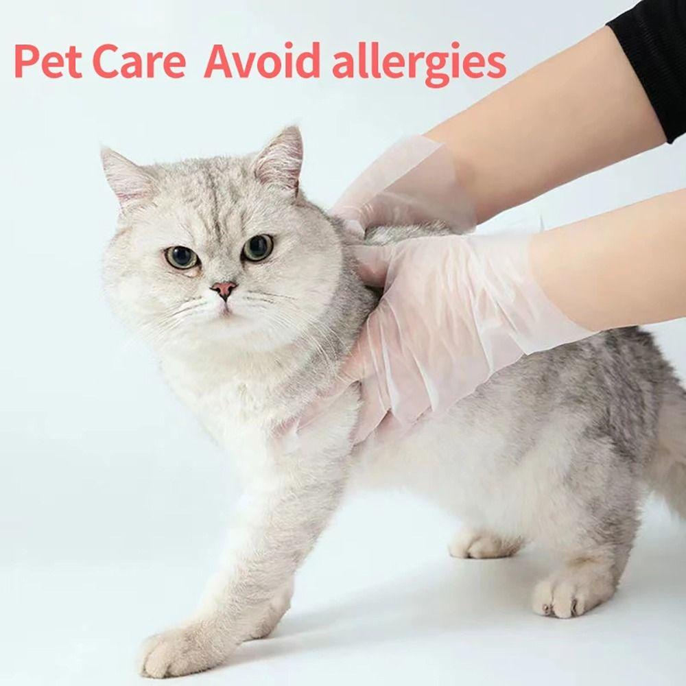 ถุงมือแบบใช้แล้วทิ้ง KAREN 100 ชิ้น, ถุงมือทําความสะอาด TPE โปร่งใส, ความปลอดภัยในการทํางานกรดถุงมือฟรียางลาเท็กซ์กันลื่นเกรดอาหาร - รูปที่ 3