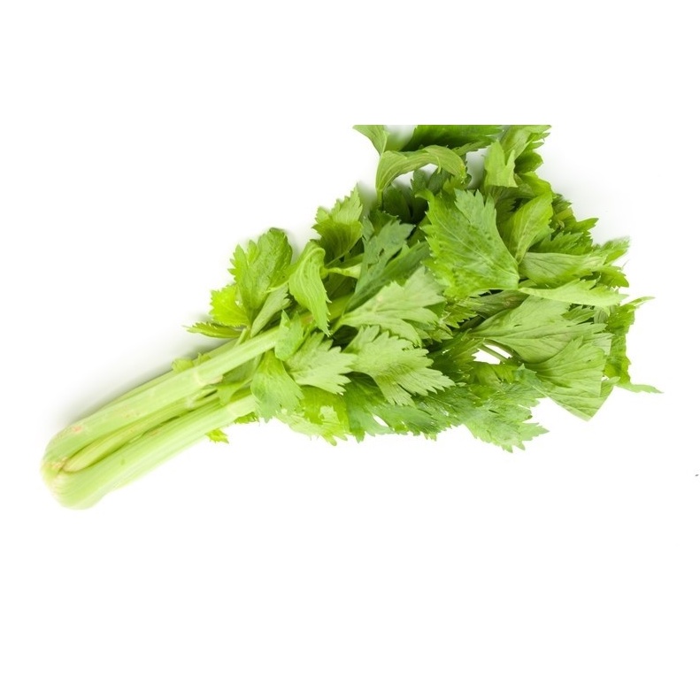 เมล็ดพันธุ์ คื่นฉ่ายยักษ์ คื่นฉ่ายฝรั่ง เซเลอรี่ (celery) ขึ้นฉ่ายฝรั่งต้นใหญ่ 400 เมล็ด [10 แถม 1 คละได้]
