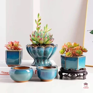 กระถางดินเผา #เคลือบเงาสีน้ำเงิน กระถางต้นไม้ ไม้อวบน้ำ กุหลาบหิน cactus&succulentหลากหลายสายพันธุ์