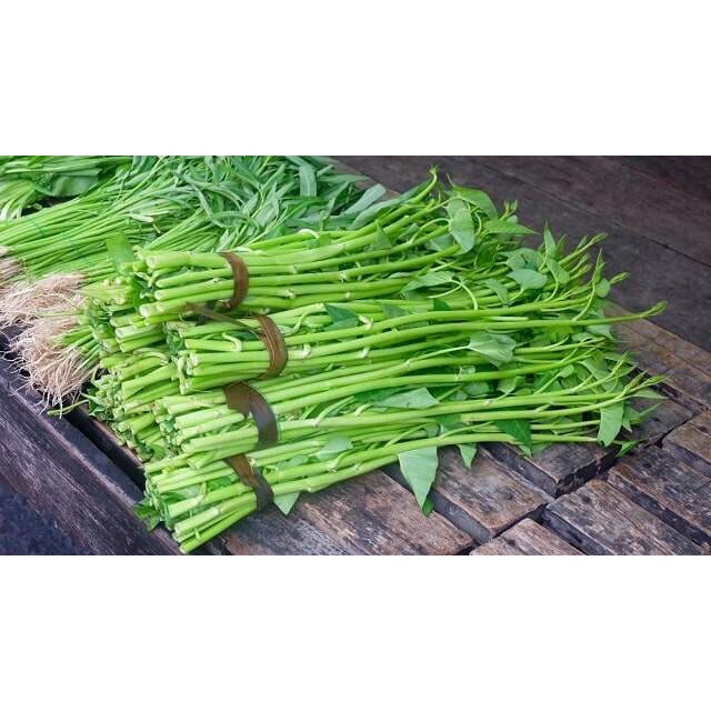 เมล็ดพันธุ์ ผักบุ้งเย็นตาโฟ ผักบุ้งแก้ว 100-200 เมล็ด ปลูกง่าย โตเร็ว [10 แถม 1 คละได้]