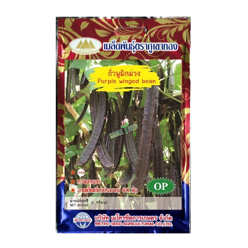 เมล็ดถั่วพูฝักม่วง Purple winged bean MT/OP-143 ตราภูเขาทอง เมล็ดถั่วพู เมล็ดถั่วพูสีม่วง เมล็ดผัก