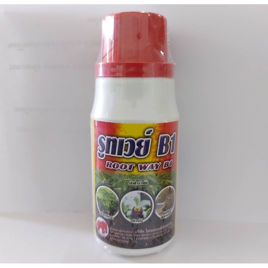 รูทเวย์ B1 น้ำยาเร่งราก ขนาด 100 cc (บ.ไทยออน)
